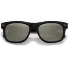 BORREGO, Shiny Black-Mineral Polarized 555nm Silver Cat 3 to 3, hi-res image number null